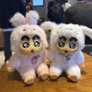 뽑기오빠 뽑기언니 이미지