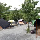 초록슈피아 캠핑장 이미지