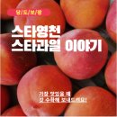 땅부자부동산중개사무소 | 영천, 농촌이 아닌 기회의 땅- 스마트농업으로 바뀌는 &#34; 부자농촌&#34; 이야기