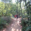 수향주유소 이미지