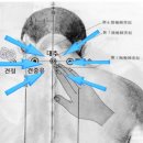 이엔아이스포츠
