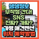 스위트몽 | 진짜? 가짜? 물을 좋아하는 고양이 가평 힐링풀빌라 애견펜션 스위트몽 애견펜션(+위치 예약방법 할인쿠폰)