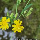 하계공인중개사사무소 이미지