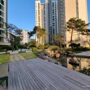 코끼리부동산중개사무소 이미지