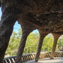 전일 | 스페인 바르셀로나 가우디 전일투어 후기 팔로우미 추천