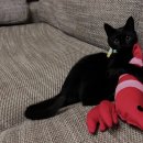 비타민동물메디컬센터 이미지