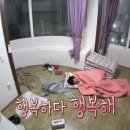 오이도1 이미지