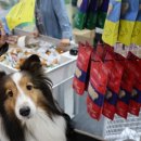 효자로(K) 이미지