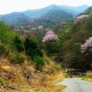 지리산 풀잎