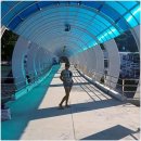 스마일하우스 | 라용 가족여행 라용 스마일 홈 게스트하우스 후기