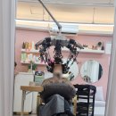 미나헤어 | 광주 수완지구 미나헤어 탱탱한 세팅펌