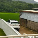 우리축산약품 | 강아지독채펜션 스테이만천 자쿠지애견단독마당