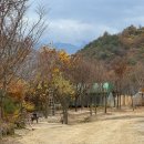 피아프스테이 | 친구랑 다녀온 지리산글램핑 남원피아프캠프 (+이용수칙,솔직후기)