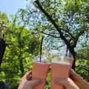 용의꼬리 | 안양예술공원 자연 속에서 즐기는 예술 산책, 경기 안양 가볼만한곳 (작품, 전망대, 파빌리온 꿀팁)