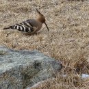 라하농장 이미지