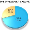 (주)에스티에스시스템 이미지