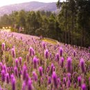 경희자연한의원 이미지