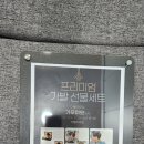 가모미모