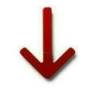 나잡아바라 이미지