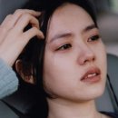 돋보이 개 이미지