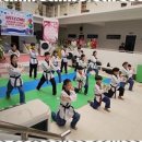 창조태권도 이미지