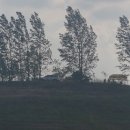 충주요트장 이미지