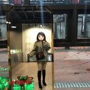 워시데이세븐 이미지