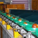 기덕농장 이미지