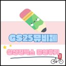 GS25 팽성안정점 | GS25 뮤비페 일산 킨텍스 라인업 타임테이블 공연 후기, god는 영원하다.