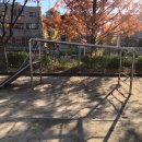 대전변동초등학교 | ::모래소독::키제코::/ 대전변동초+병설 모래소독: 3610번째 후기