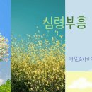 2023.11.19.주일. 합천양지교회 김대원목사 ● 심령 부흥 /데살로니가전서5:15-18 이미지