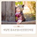 꽃감 스튜디오 | 예담헌 아기 돌 한옥촬영 종로본점 인천원인재점 둘다 찍어본 후기