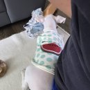 독스앤휴먼 이미지