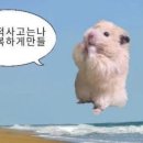 홍스키친반찬가게 이미지