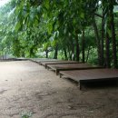 원동자연 휴양림 이미지