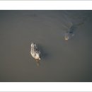 창원 목재문화체험장 이미지