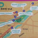 탑플러스마트 | 대전 가볼만한곳 유림공원 국화축제 이쁜 꽃 구경하세요~