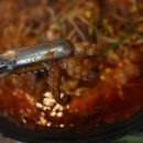 탄탄쭈꾸미 이미지