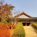 갈빛