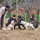 광주광역시 우치동물원 동물병원 이미지