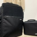 피티 인(PT IN) 이미지