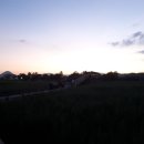 순천만 갈대밭 이미지