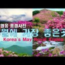 5월에 가장 좋은곳 - 구영웅 사진 - 바래봉 - 무등산 - 덕유산 - 달궁계곡 이미지