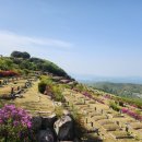 삼덕공원 이미지