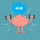 머슬마인드짐 이미지