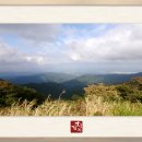 담양을 담다 이미지