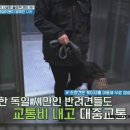 부여대우식당 이미지