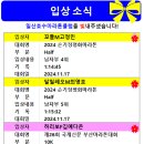 입상소식_(2024.11.17)_손기정평화마라톤, 국제신문부산마라톤 이미지