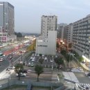 캘리포니아관광호텔 이미지