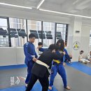 존프랭클 위즈덤 주짓수 | 풍무역 다이어트 운동 찾다가 정착한 존프랭클 주짓수 김포 아카데미 후기